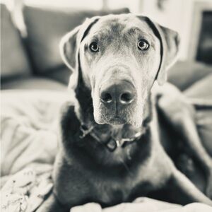 Meet your Posher, Julianna